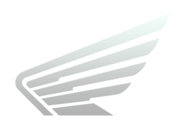 ELITE 125